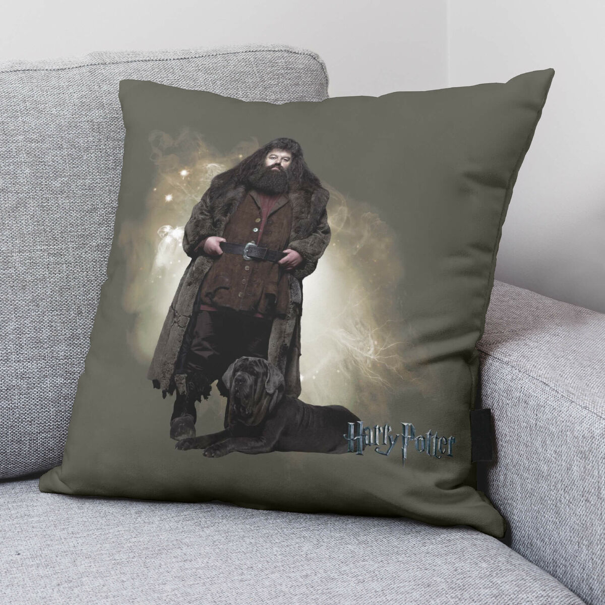 Kuddfodral Harry Potter Hagrid Multicolour 50 x 50 cm